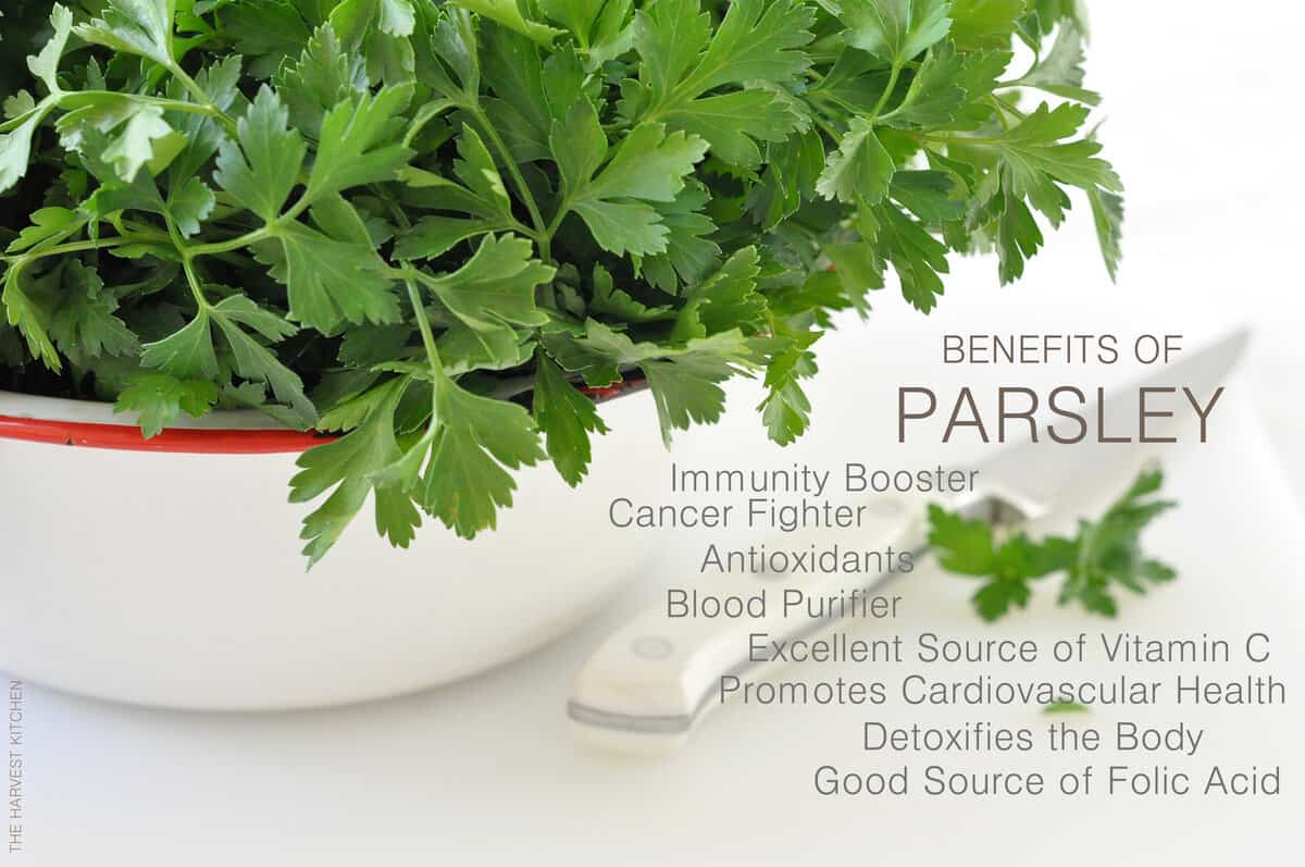 Benefits of Parsley