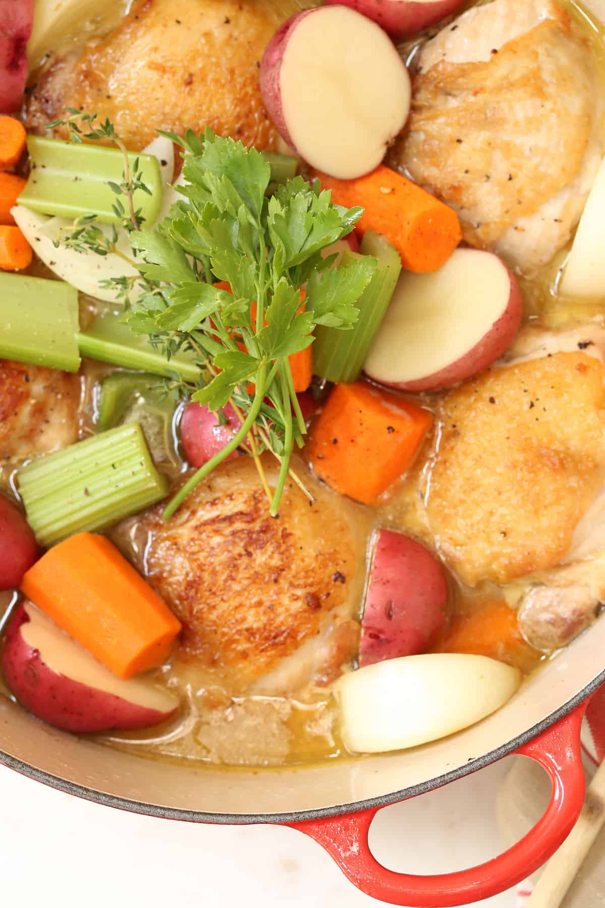 French Chicken Stew