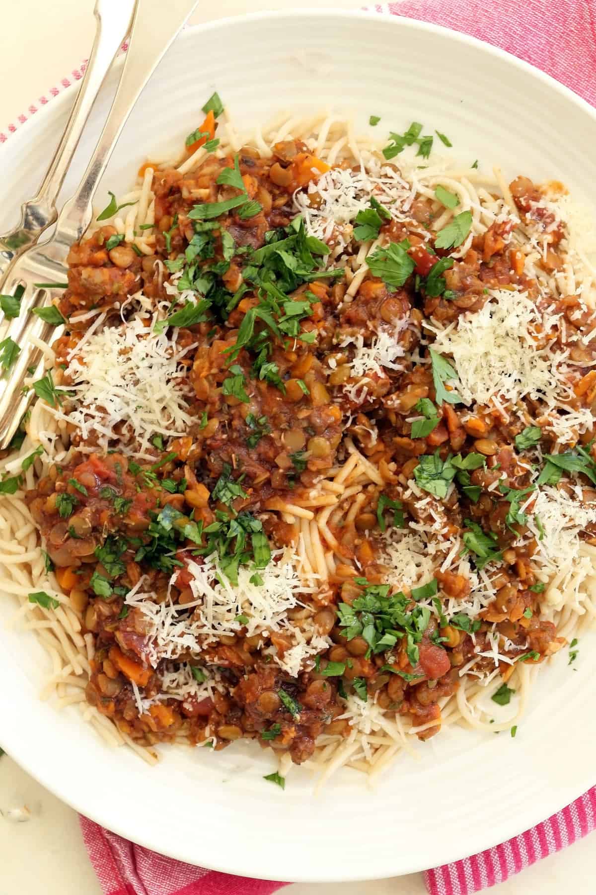 Lentil Bolognese Sauce - The Harvest Kitchen