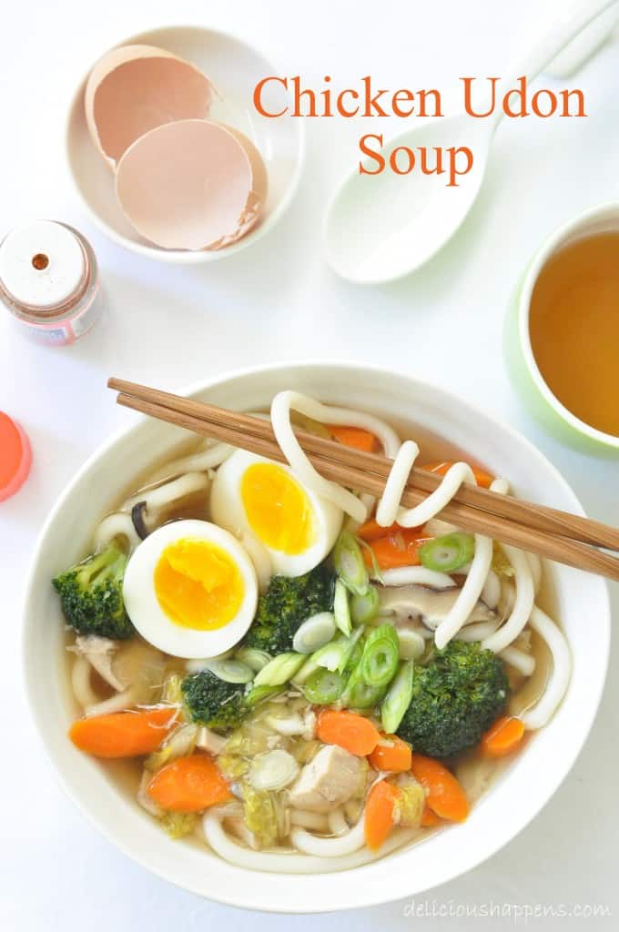 Japanese Udon Noodle Soup