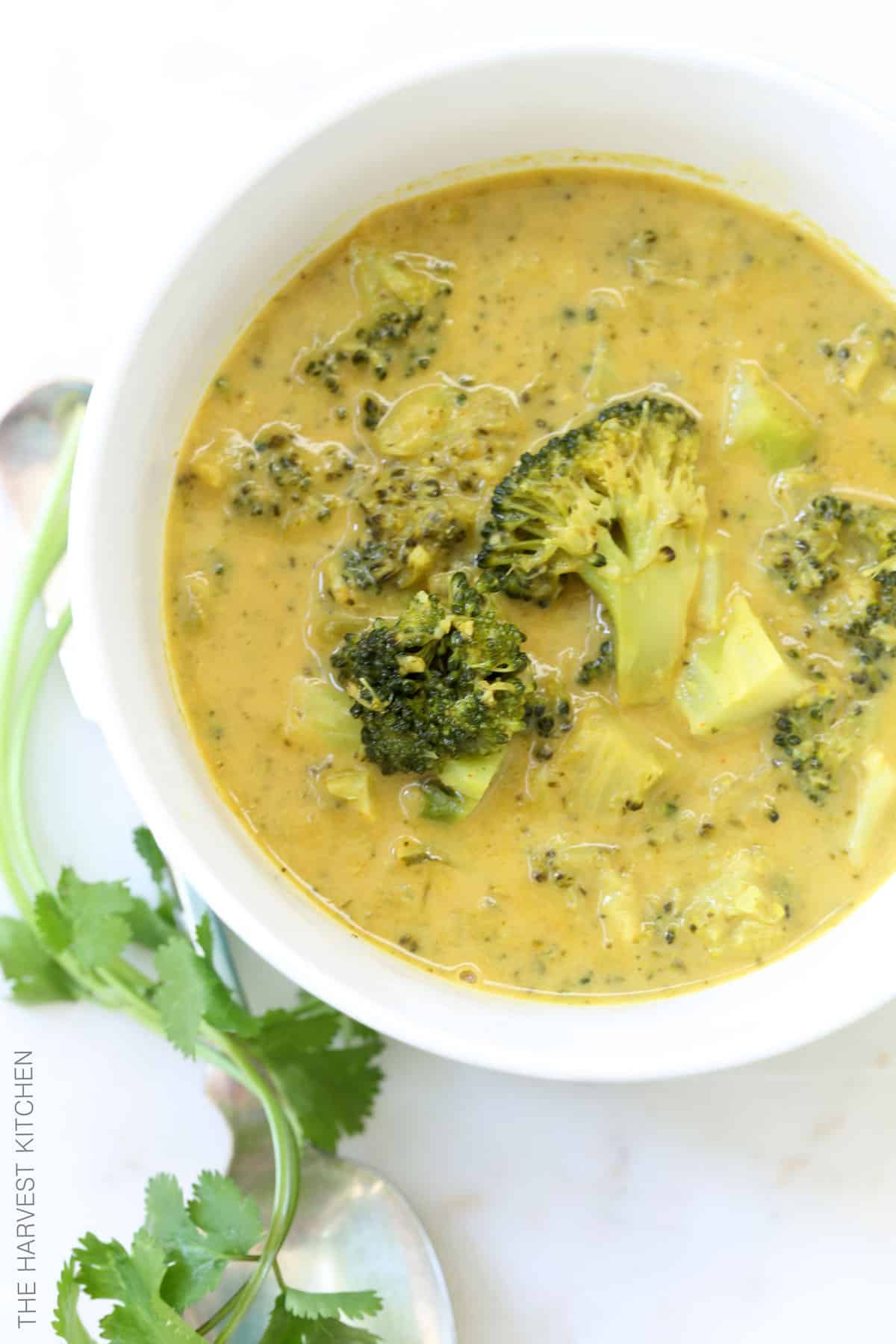 Coconut Curry Broccoli Soup - The Harvest Kitchen
