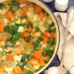 Spring Chicken Vegetable Soup - The Harvest Kitchen