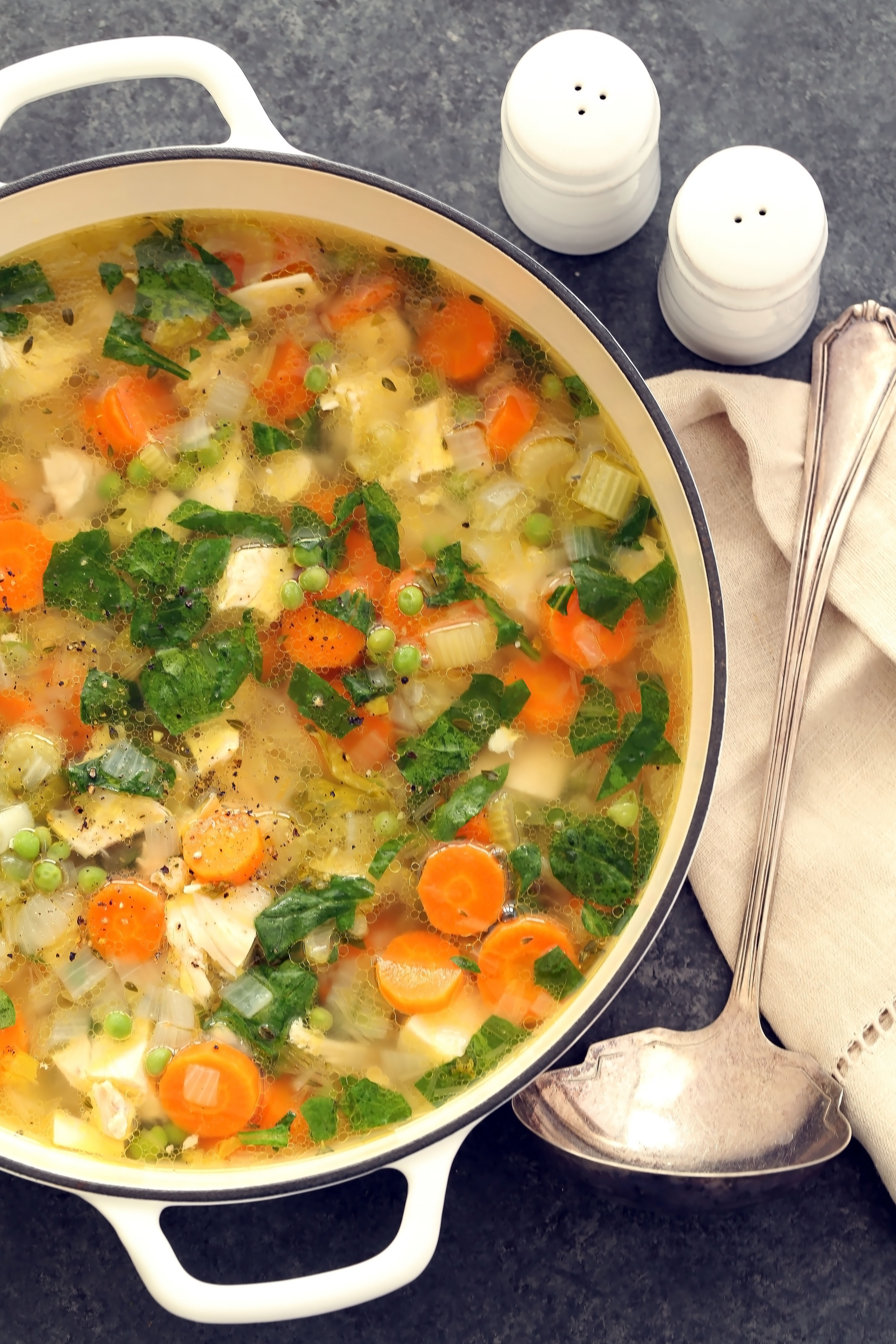 Spring Chicken Vegetable Soup - The Harvest Kitchen