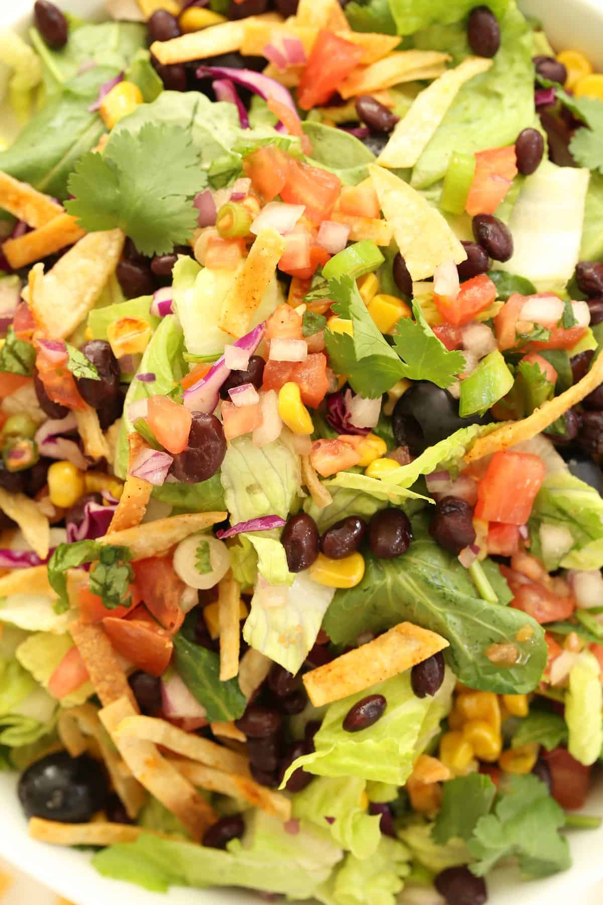 Mexican Salad Recipe - The Harvest Kitchen