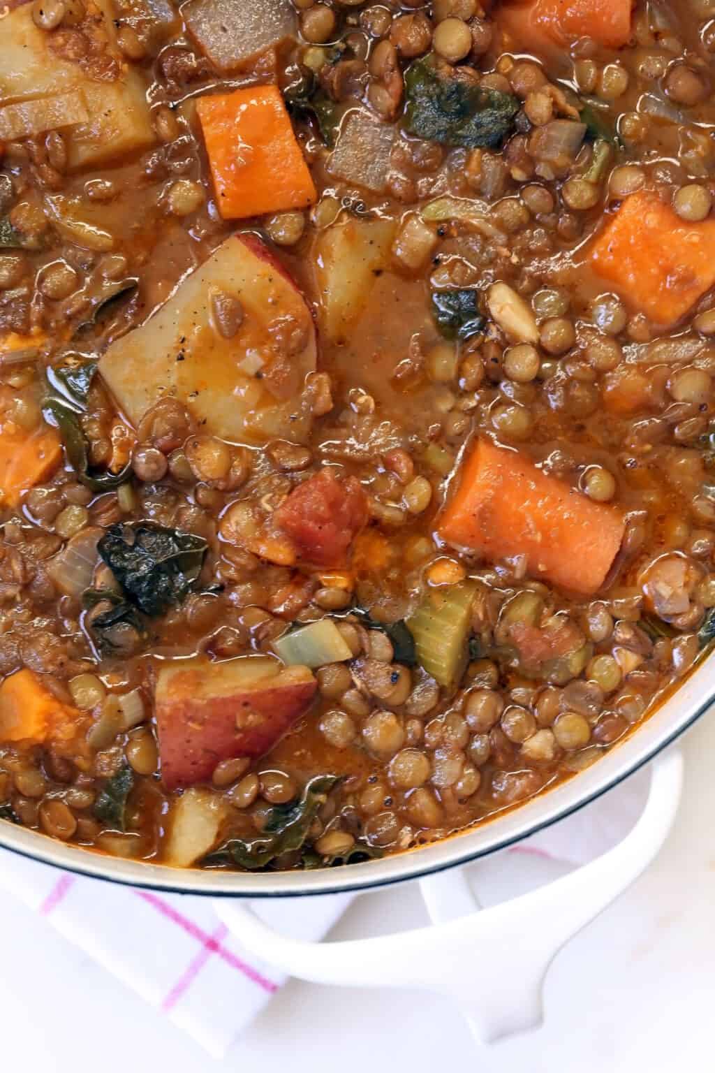 Hearty Lentil Stew