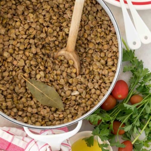 How to Cook Lentils - The Harvest Kitchen