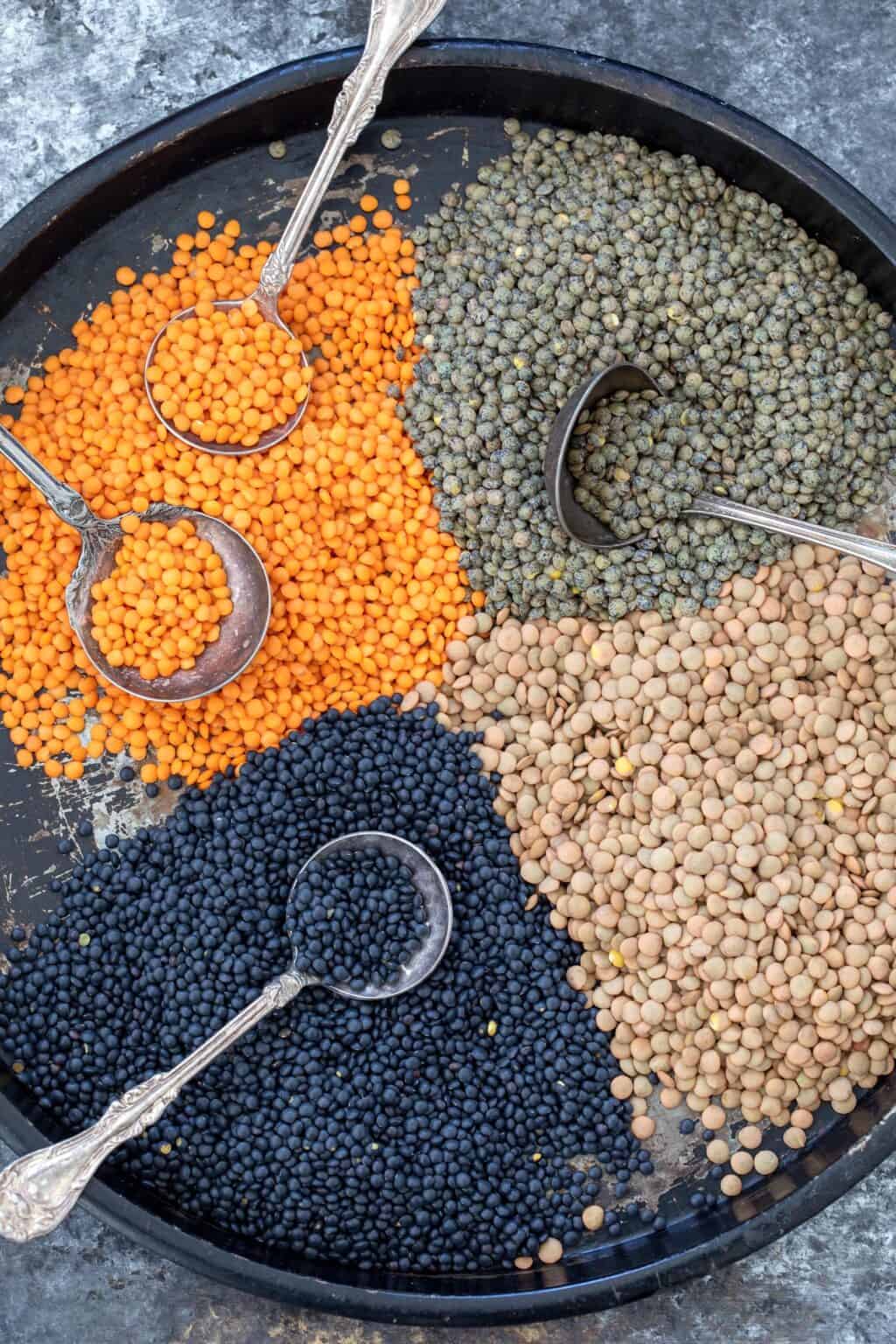 what-are-lentils-the-harvest-kitchen