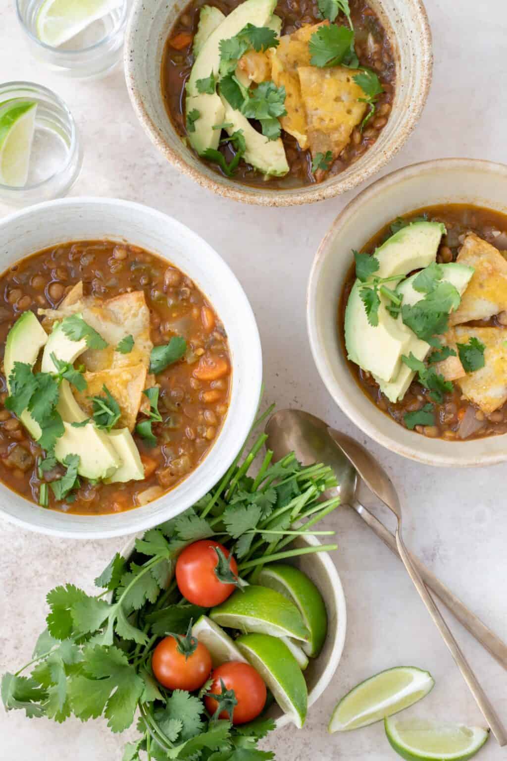 Mexican Lentil Soup - The Harvest Kitchen