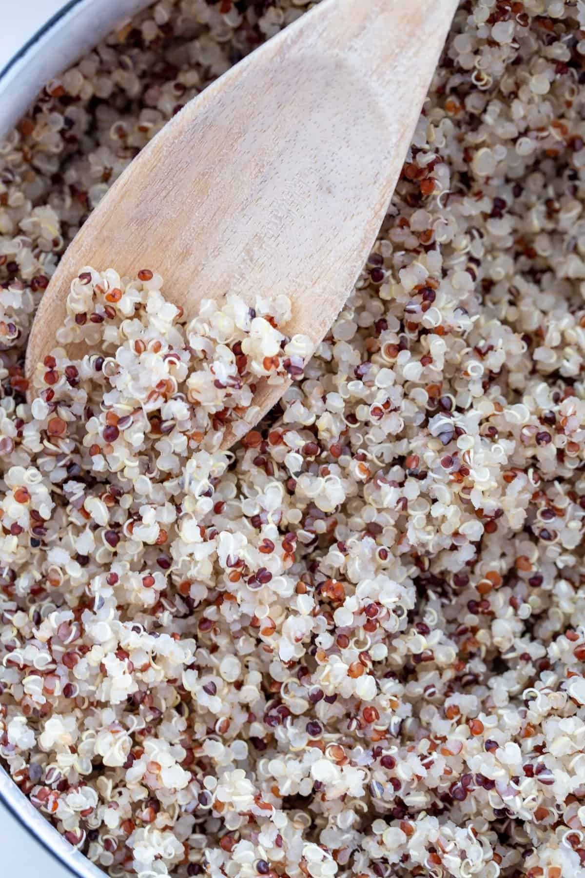 How to Make Quinoa - The Harvest Kitchen