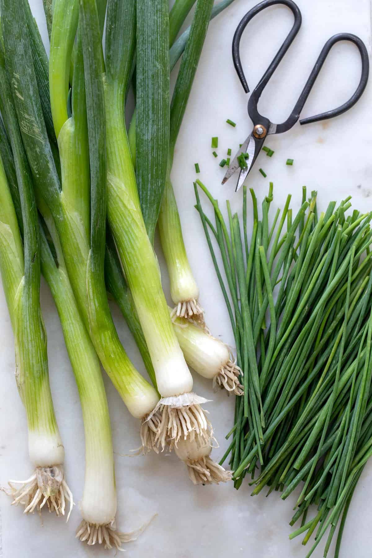 Chives vs Green Onions - The Harvest Kitchen