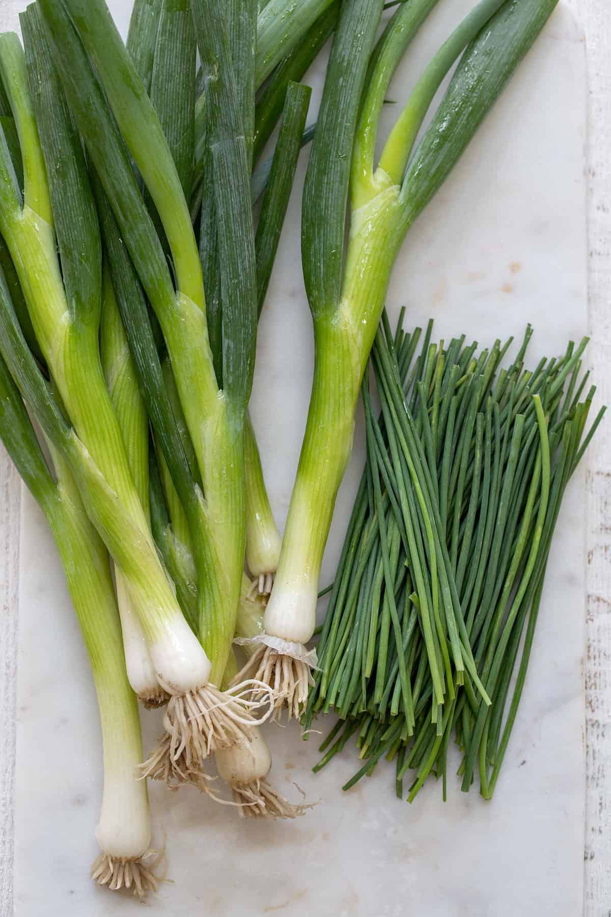 Chives vs Green Onions - The Harvest Kitchen