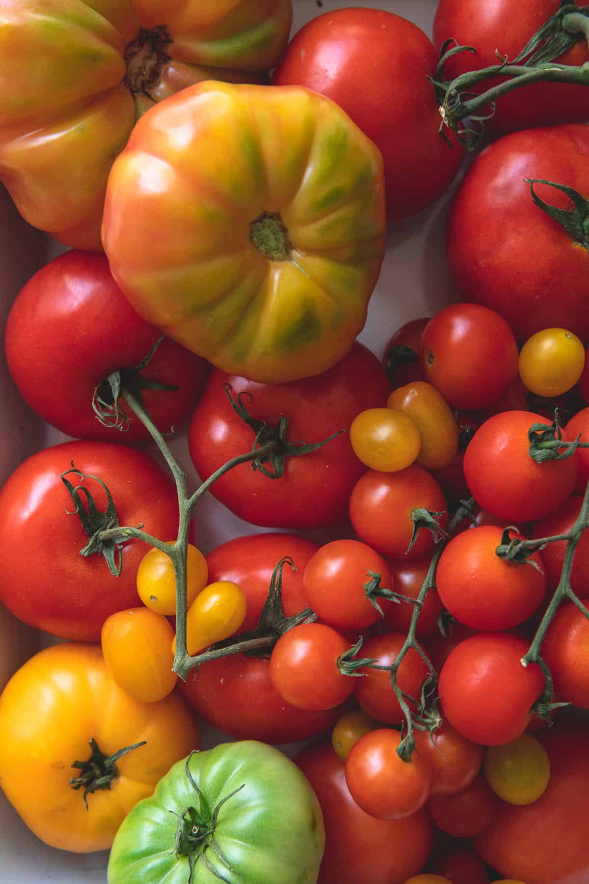 Tomatoes - The Harvest Kitchen