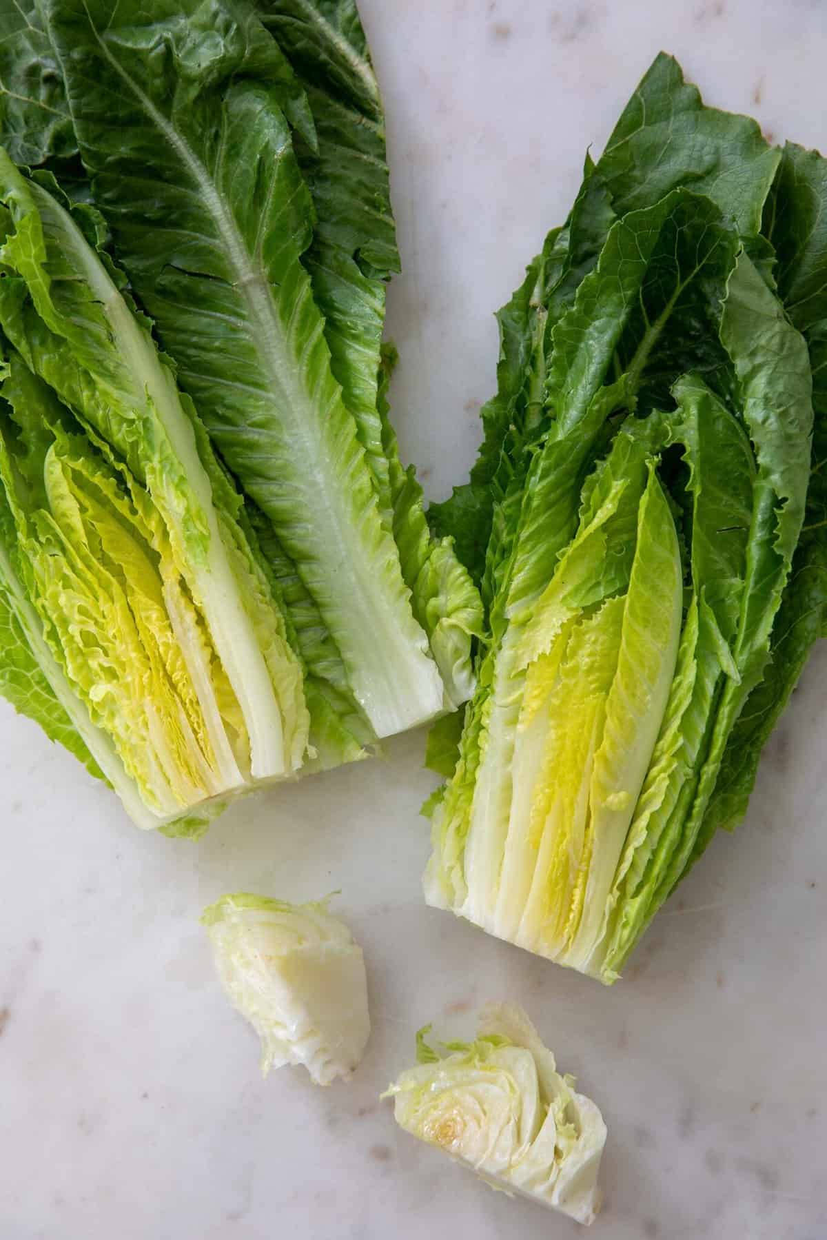 Romaine Lettuce - The Harvest Kitchen