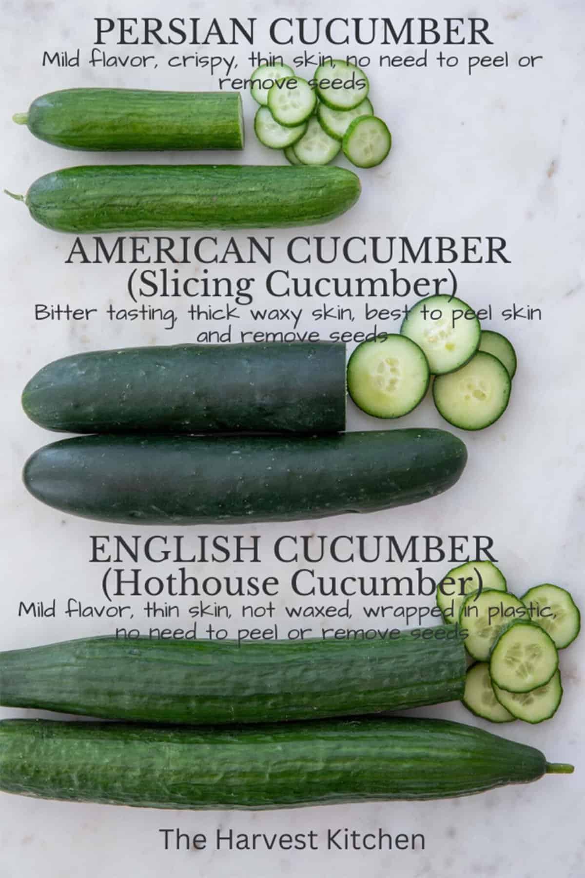 english-cucumber-the-harvest-kitchen