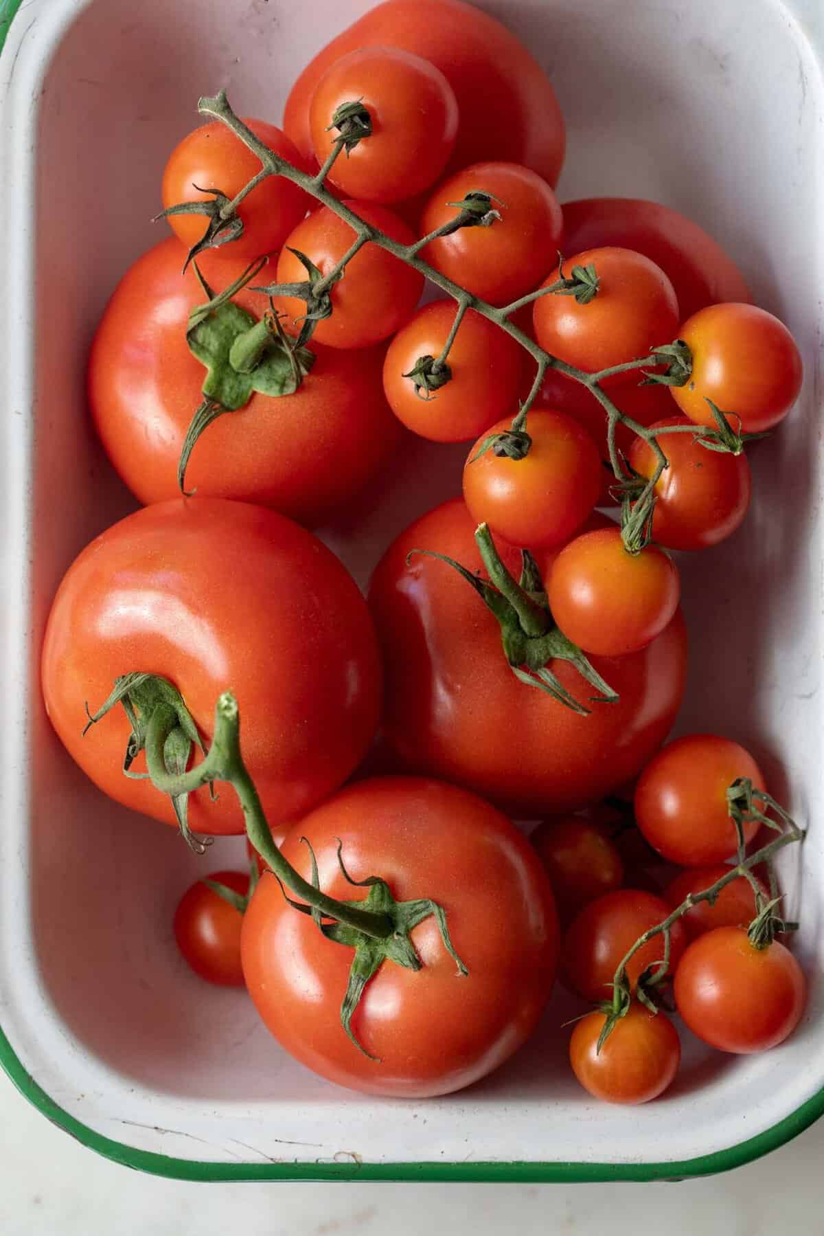 How To Store Tomatoes The Harvest Kitchen   Should You Refrigerate Tomatoes 1366x2048 