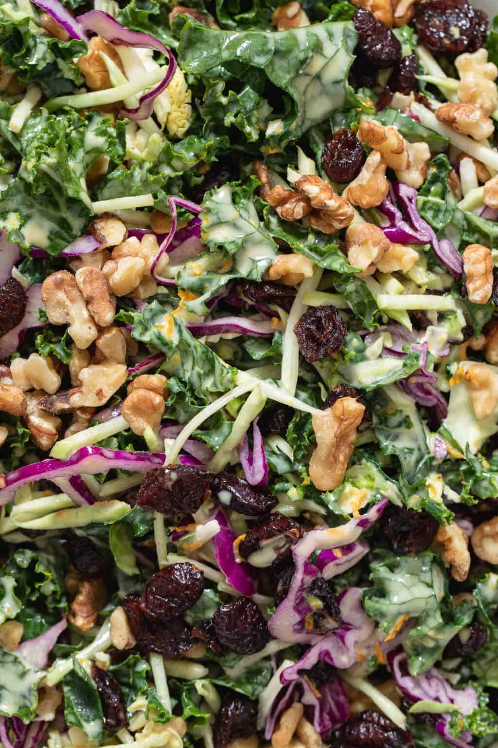 Kale Salad With Cranberries The Harvest Kitchen   Cranberry Kale Salad Recipe 1024x1536 