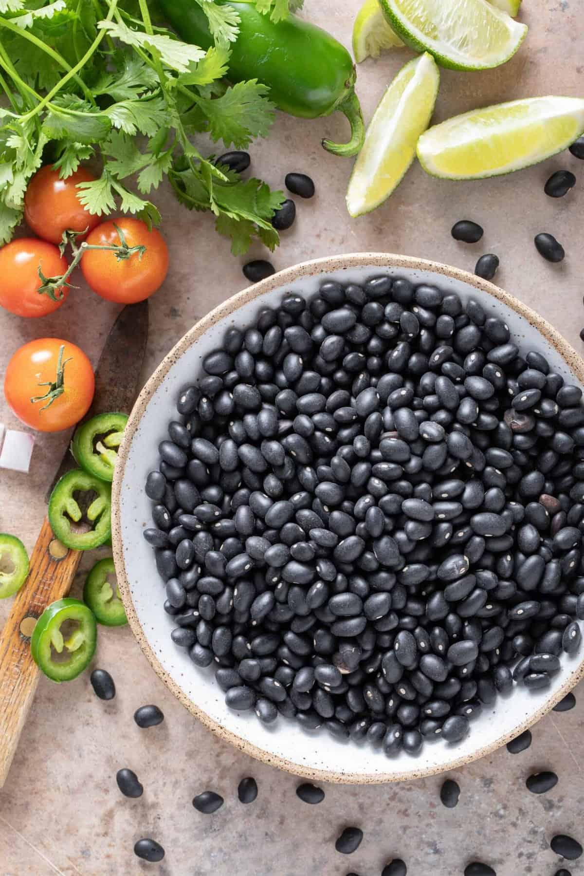 Black Beans vs Pinto Beans The Harvest Kitchen