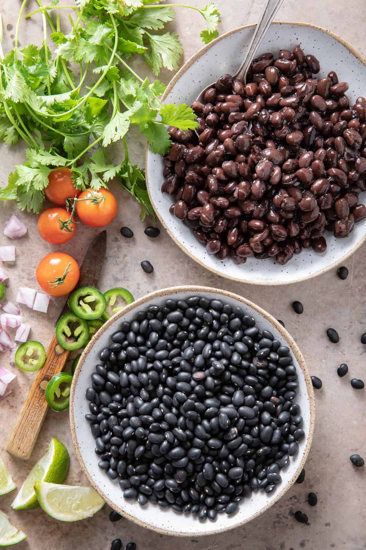 Black Beans vs Pinto Beans The Harvest Kitchen