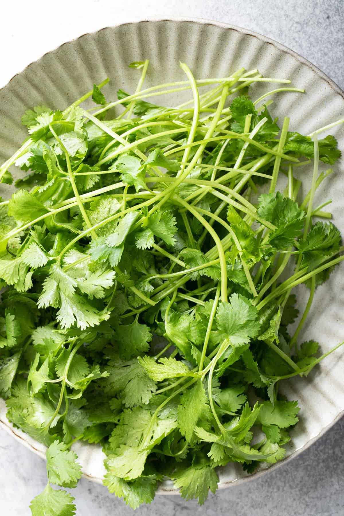 Cilantro Substitute The Harvest Kitchen