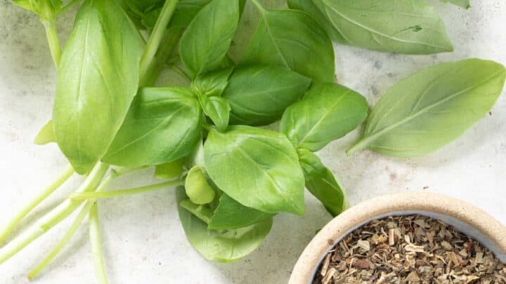 Basil Substitute