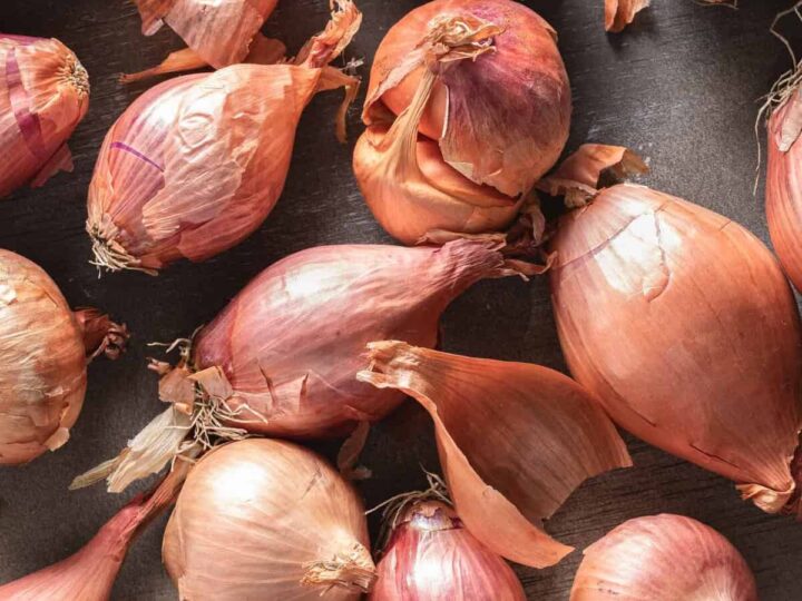 Shallot Substitutes - What to use When you Don't Have Time To Shop?