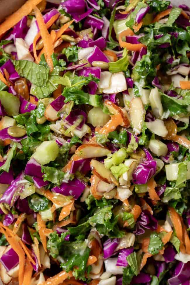 A close up photograph of chopped kale salad (with curly kale, cabbage, carrot, celery, mint, almond slices and golden raisins).