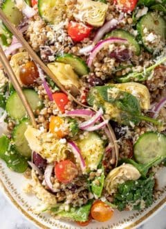 A white platter filled with Lentil Quinoa salad made with lentils, quinoa, spinach, cherry tomatoes, red onion, cucumbers, artichoke hearts and kalamata olives. Gold colored salad servers rest on the platter.